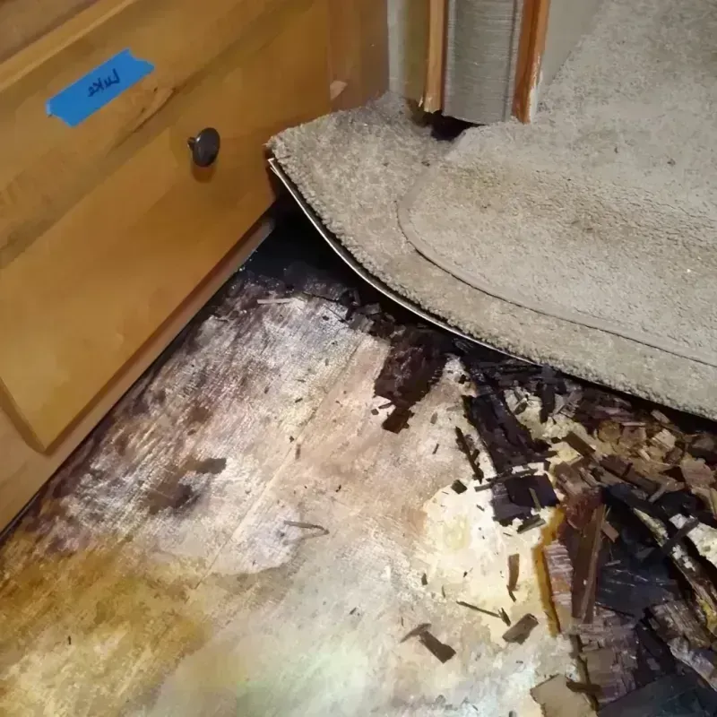 Best Wood Floor Water Damage Service in Delavan, IL